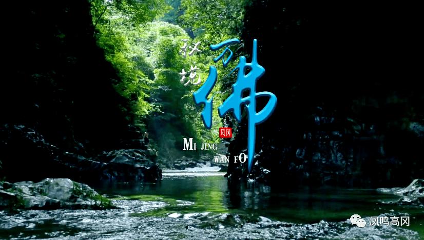数码宝贝8