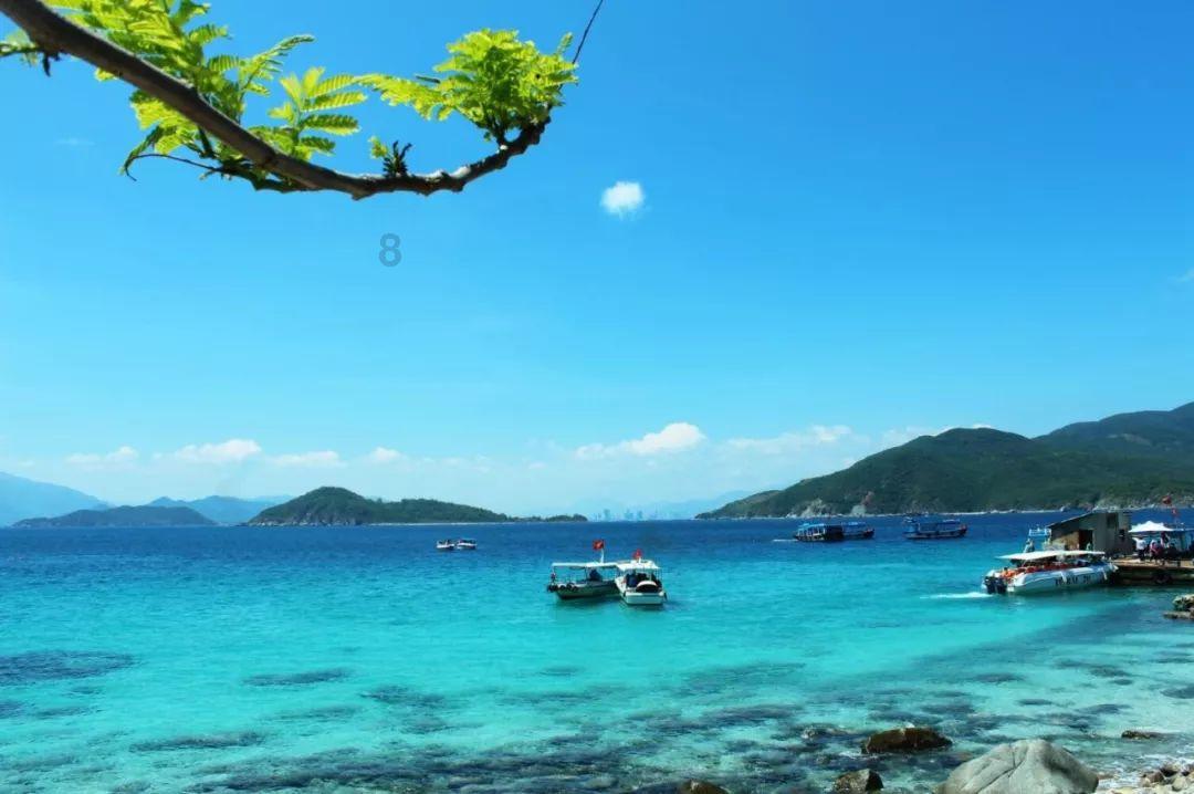 求大神，怎样去螨虫和由螨虫引发的痘痘？游戏画面