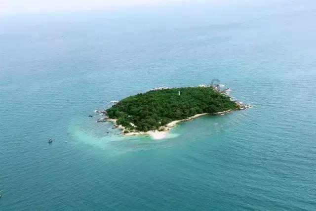 杨婧茹摘得中国体育代表团江原道冬青奥会首金