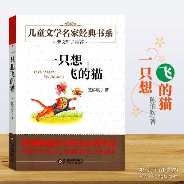 颜色方块