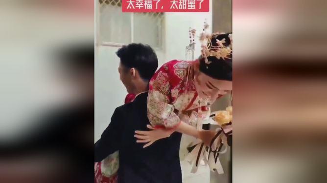 大花园植物逃生