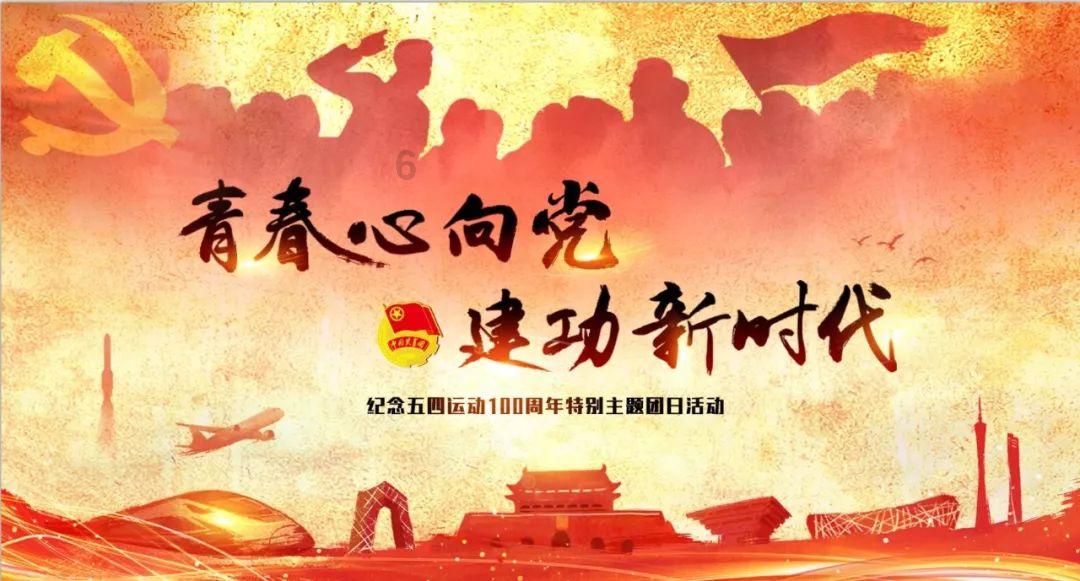 忍者鲨鱼