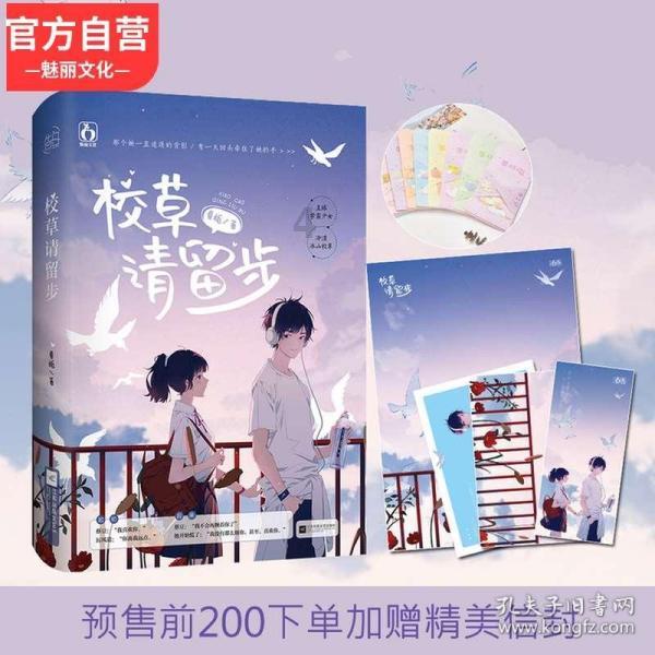 优雅的精灵