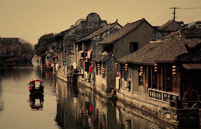 救援鹦鹉