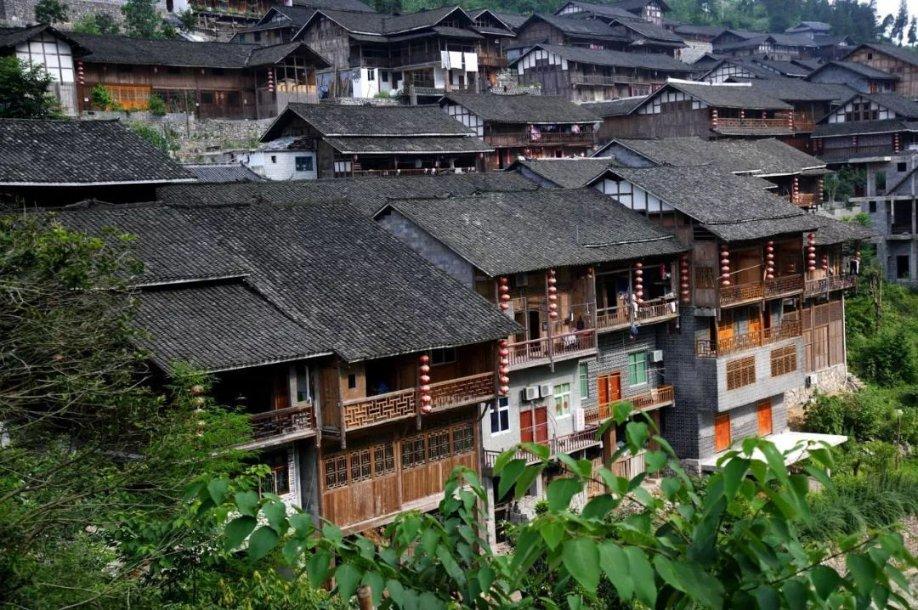 知识经济的革新者:抖音知识撸金小游戏与穿山甲项目的无尽可能