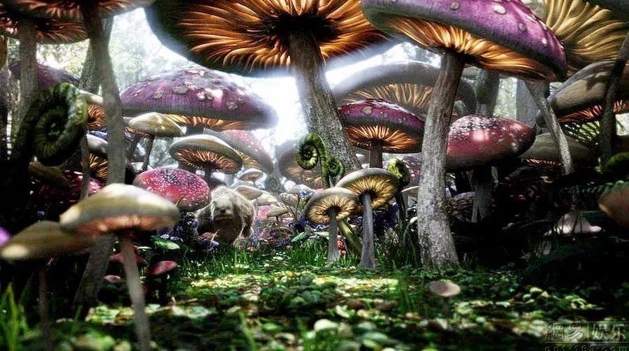 官杀混杂到底是吉还是凶？